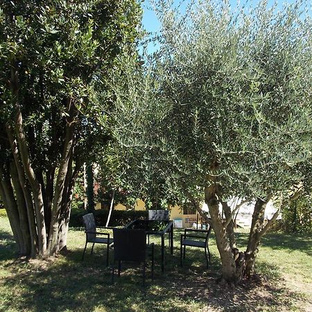 Il Borghetto Lägenhet San Lorenzo in Campo Exteriör bild