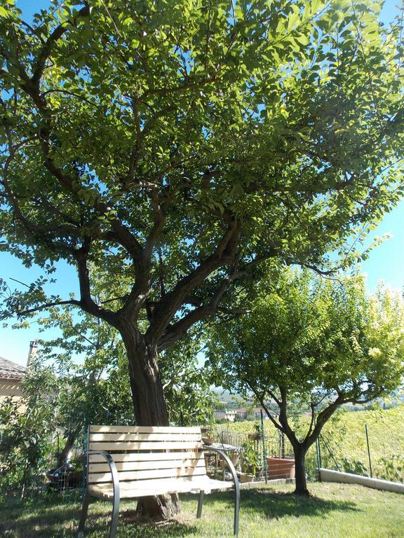 Il Borghetto Lägenhet San Lorenzo in Campo Exteriör bild