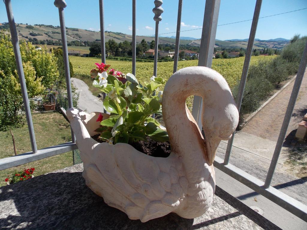 Il Borghetto Lägenhet San Lorenzo in Campo Exteriör bild
