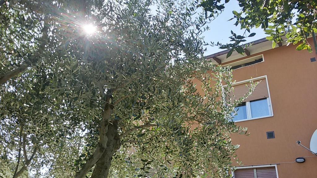 Il Borghetto Lägenhet San Lorenzo in Campo Exteriör bild